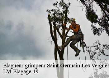 Elagueur grimpeur saint-germain-les-vergnes-19330 LM Elagage 19