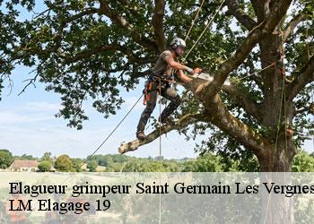 Elagueur grimpeur 19330