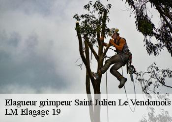 Elagueur grimpeur  saint-julien-le-vendomois-19210 LM Elagage 19