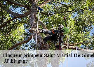 Elagueur grimpeur saint-martial-de-gimel-19150 JP Elagage