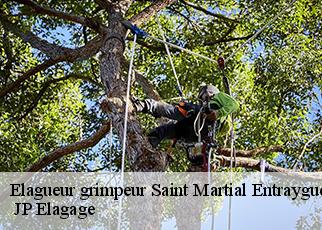 Elagueur grimpeur saint-martial-entraygues-19400 JP Elagage