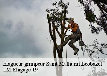 Elagueur grimpeur saint-mathurin-leobazel-19430 LM Elagage 19