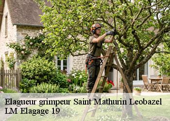 Elagueur grimpeur 19430