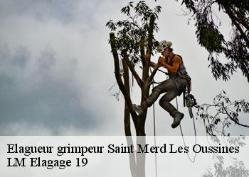 Elagueur grimpeur  saint-merd-les-oussines-19170 LM Elagage 19
