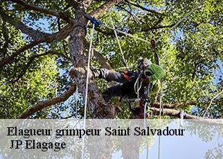Elagueur grimpeur  saint-salvadour-19700  JP Elagage