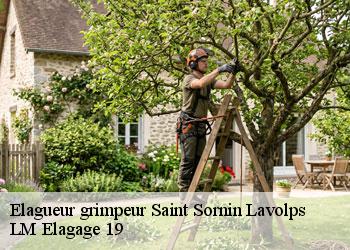 Elagueur grimpeur  19230