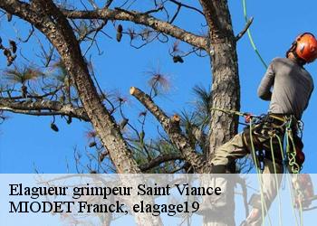 Elagueur grimpeur  saint-viance-19240 MIODET Franck, elagage19