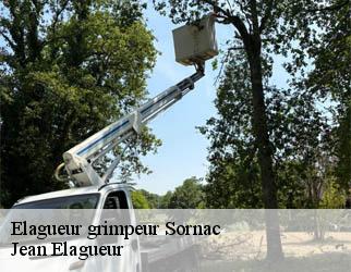 Elagueur grimpeur sornac-19290 Jean Elagueur