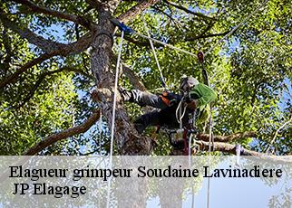 Elagueur grimpeur soudaine-lavinadiere-19370 JP Elagage