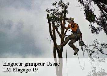 Elagueur grimpeur ussac-19270 LM Elagage 19