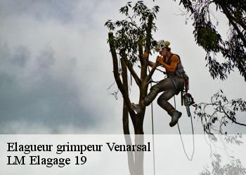 Elagueur grimpeur venarsal-19360 LM Elagage 19