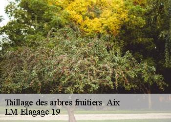 Taillage des arbres fruitiers   aix-19200 LM Elagage 19