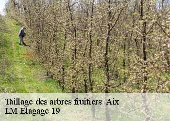 Taillage des arbres fruitiers   19200