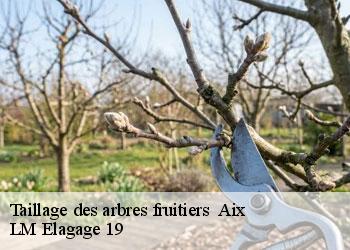 Taillage des arbres fruitiers   19200