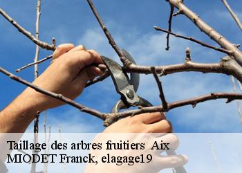 Taillage des arbres fruitiers   aix-19200 MIODET Franck, elagage19