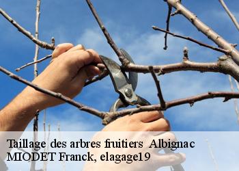 Taillage des arbres fruitiers   albignac-19190 MIODET Franck, elagage19