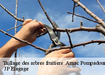 Taillage des arbres fruitiers arnac-pompadour-19230 JP Elagage