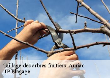 Taillage des arbres fruitiers auriac-19220 JP Elagage