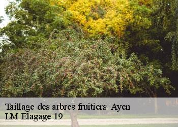 Taillage des arbres fruitiers ayen-19310 LM Elagage 19