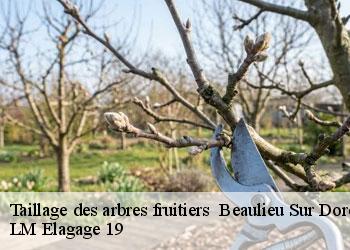 Taillage des arbres fruitiers   19120