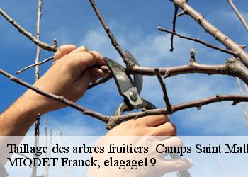 Taillage des arbres fruitiers   camps-saint-mathurin-leobaze-19430 MIODET Franck, elagage19