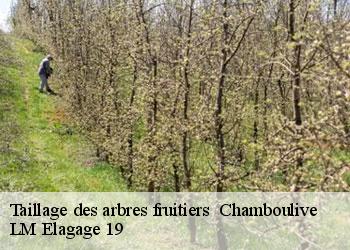 Taillage des arbres fruitiers 19450