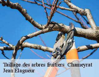 Taillage des arbres fruitiers chameyrat-19330 Jean Elagueur