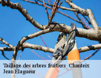Taillage des arbres fruitiers chanteix-19330 Jean Elagueur