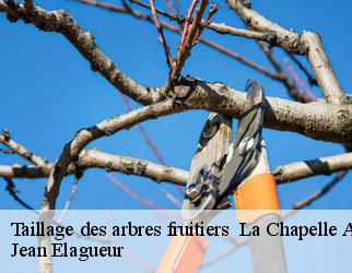 Taillage des arbres fruitiers la-chapelle-aux-st-19120 Jean Elagueur