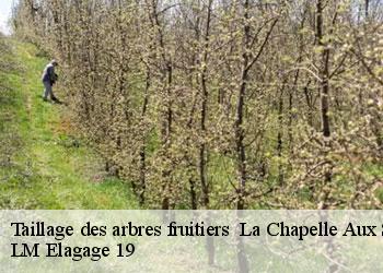 Taillage des arbres fruitiers 19120