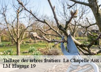 Taillage des arbres fruitiers 19120