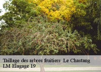 Taillage des arbres fruitiers   le-chastang-19190 LM Elagage 19