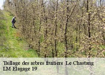 Taillage des arbres fruitiers   19190
