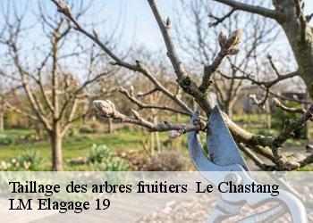 Taillage des arbres fruitiers   19190