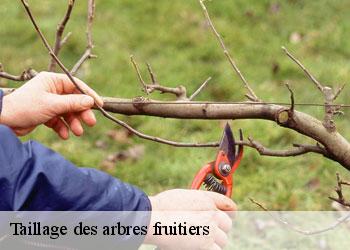 Taillage des arbres fruitiers   19190