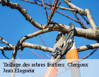 Taillage des arbres fruitiers   clergoux-19320 Jean Elagueur
