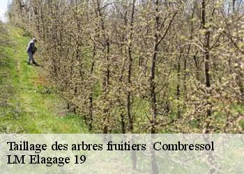 Taillage des arbres fruitiers 19250