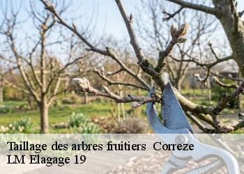 Taillage des arbres fruitiers 19800