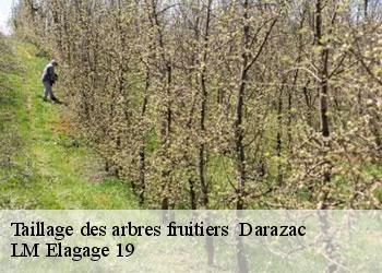 Taillage des arbres fruitiers 19220