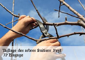 Taillage des arbres fruitiers feyt-19340 JP Elagage