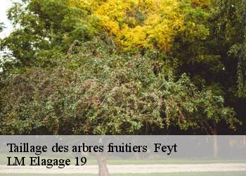 Taillage des arbres fruitiers   feyt-19340 LM Elagage 19