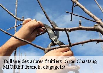 Taillage des arbres fruitiers   gros-chastang-19320 MIODET Franck, elagage19