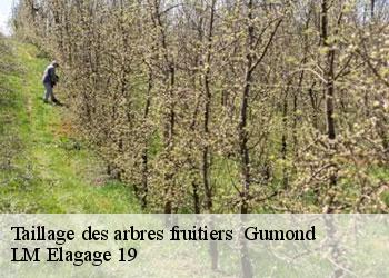 Taillage des arbres fruitiers   19320