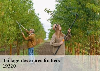 Taillage des arbres fruitiers   19320