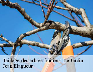 Taillage des arbres fruitiers   le-jardin-19300 Jean Elagueur