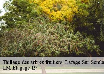 Taillage des arbres fruitiers lafage-sur-sombre-19320 LM Elagage 19