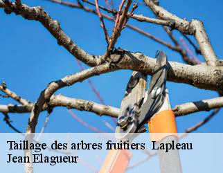 Taillage des arbres fruitiers lapleau-19550 Jean Elagueur