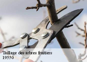 Taillage des arbres fruitiers 19550