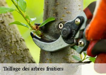 Taillage des arbres fruitiers