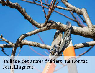 Taillage des arbres fruitiers le-lonzac-19470 Jean Elagueur